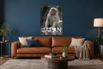Jigokudani Monkey Park